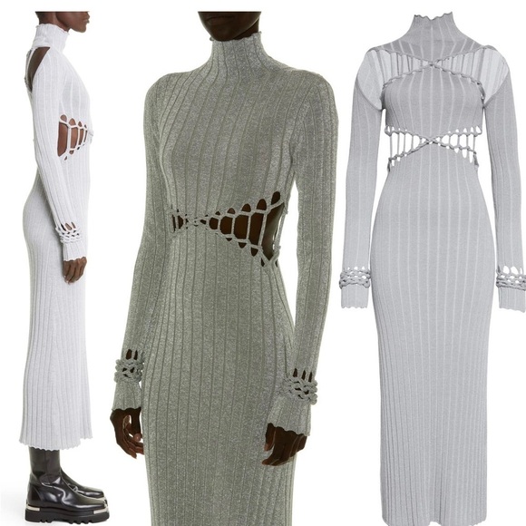 Dion Lee X BRAID REFLECTIVE Dress - Picture 1 of 3